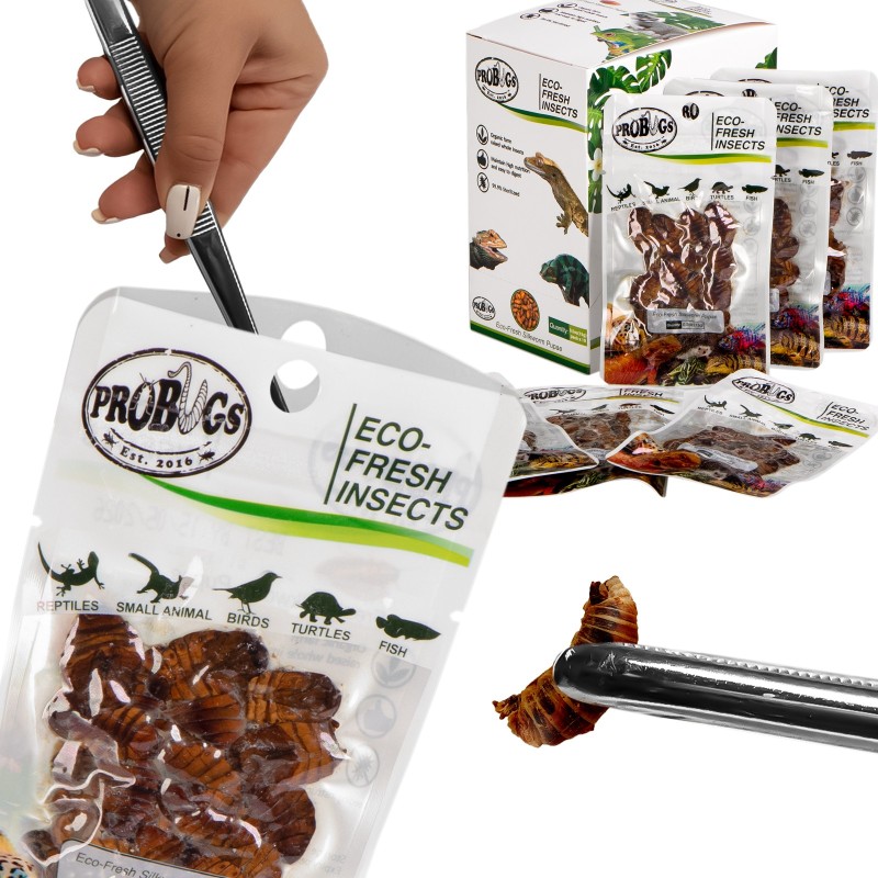 ProBugs Eco-Fresh hodvábnik 15g - čerstvé larvy hodvábnika