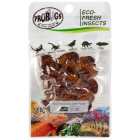 ProBugs Eco-Fresh Gusanos de Seda 15g - larvas frescas de gusano de seda