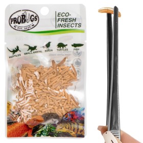 ProBugs Eco-Fresh Riceworm 15g - färska fluglarver