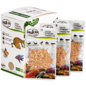 ProBugs Eco-Fresh Riceworm 15g - fresh fly larvae