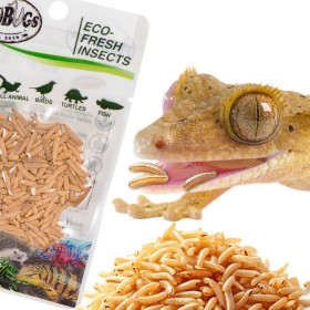 ProBugs Eco-Fresh Riceworm 15g - larve proaspete de muște