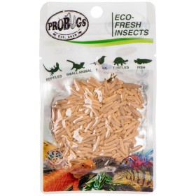 ProBugs Eco-Fresh Riceworm 15g - fresh fly larvae