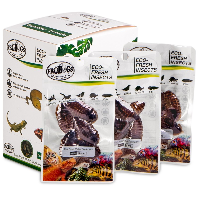 ProBugs Eco-Fresh Dubia Cockroach 5buc - gândaci argentinieni proaspeți