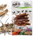 ProBugs Eco-Fresh Grasshopper 8pcs - świeże koniki polne