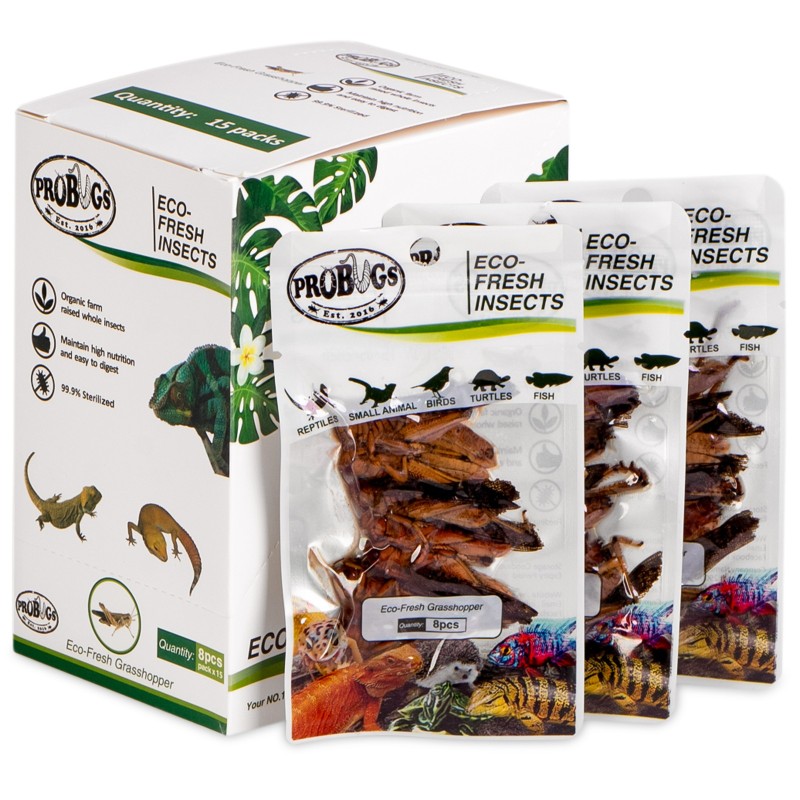 ProBugs Eco-Fresh Sauterelles 8 pièces - sauterelles fraîches