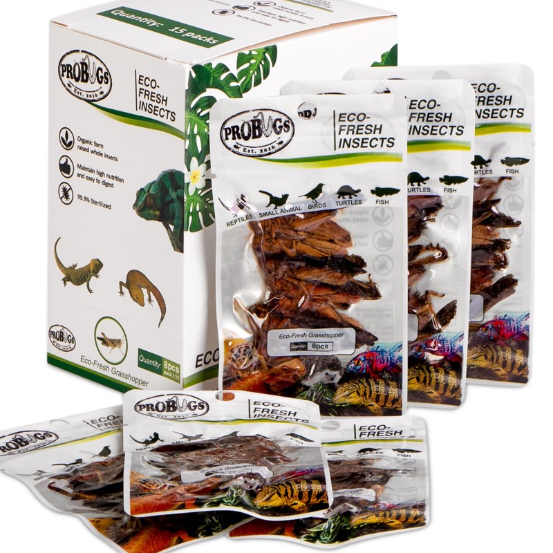 ProBugs Eco-Fresh Sauterelles 8 pièces - sauterelles fraîches