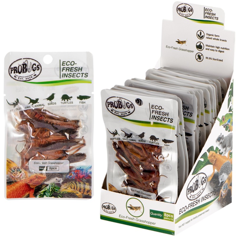 ProBugs Eco-Fresh Grasshopper 8pcs - fresh grasshoppers