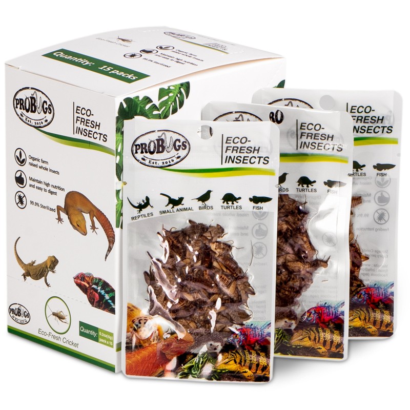 ProBugs Eco-Fresh Cricket 6g - fresh crickets