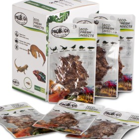 ProBugs Eco-Fresh Grillen 6g - frische Grillen