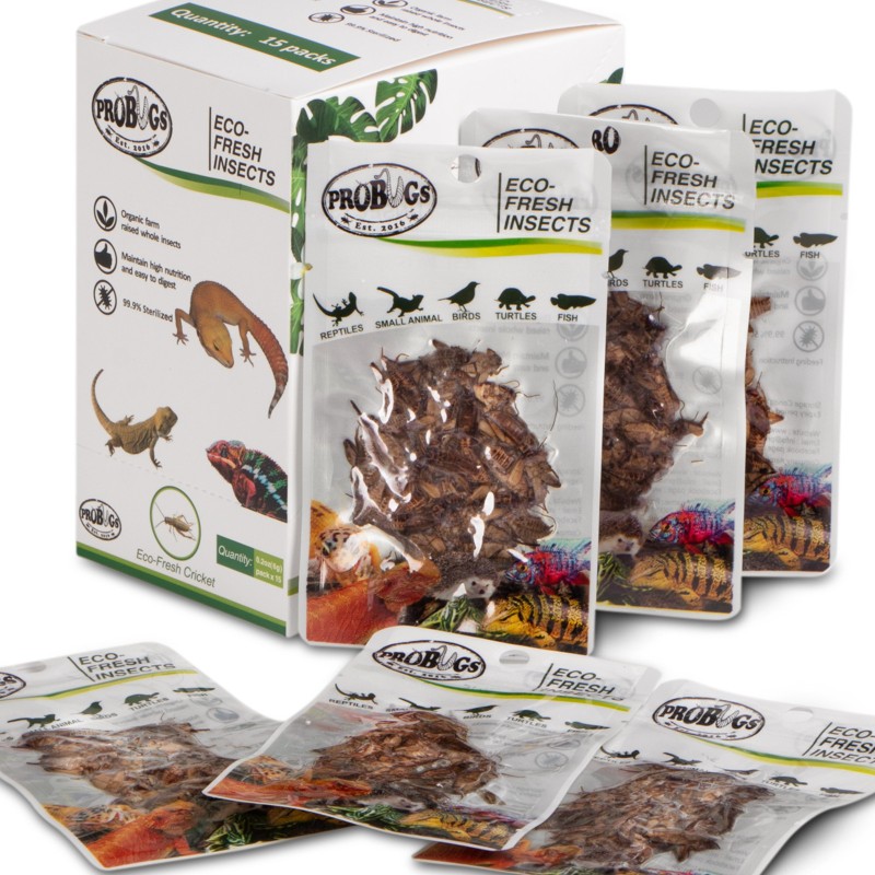 ProBugs Eco-Fresh Grillo 6g - grillos frescos