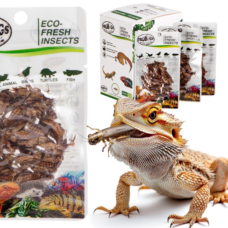 ProBugs Eco-Fresh tücsök 6g - friss tücskök