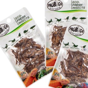 ProBugs Eco-Fresh Cricket 6g - свежие сверчки