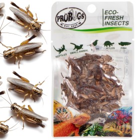 ProBugs Eco-Fresh Cricket 6g - свежие сверчки