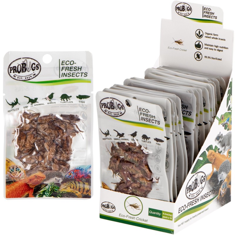 ProBugs Eco-Fresh Grillen 6g - frische Grillen