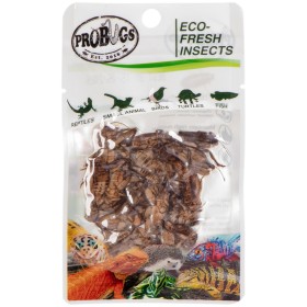 ProBugs Eco-Fresh Цикади 6г - свіжі цвіркуни