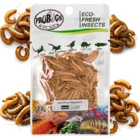 ProBugs Eco-Fresh Mealworm 20g - fresh mealworm larvae