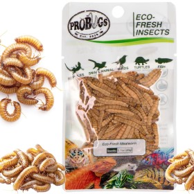 ProBugs Eco-Fresh Mealworm 20g - fresh mealworm larvae