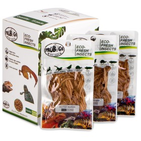 ProBugs Eco-Fresh Mealworm 20g - fresh mealworm larvae