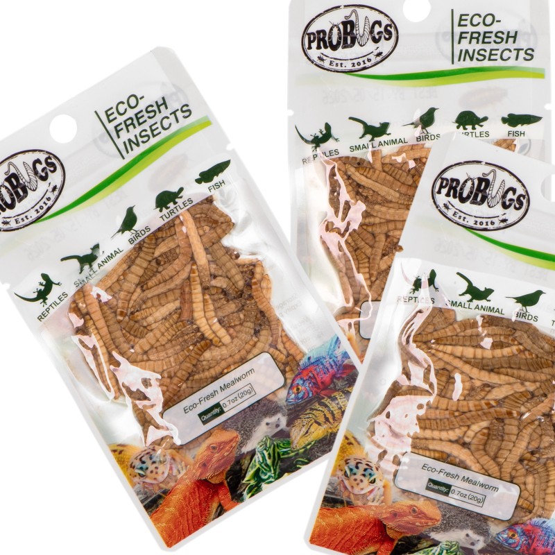 ProBugs Eco-Fresh Mealworm 20g - свіжі личинки борошняного черв’яка