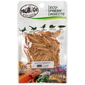 ProBugs Eco-Fresh Mealworm 20g - fresh mealworm larvae