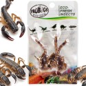 ProBugs Eco-Fresh Scorpion 3pcs - fresh scorpions