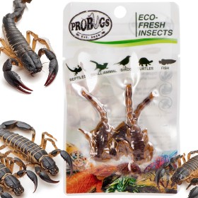 ProBugs Eco-Fresh Скорпион 3бр