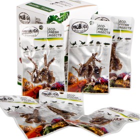 ProBugs Eco-Fresh Scorpion 3pcs - scorpions frais