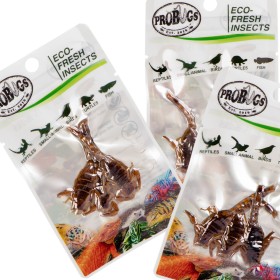 ProBugs Eco-Fresh Scorpion 3pcs - scorpions frais