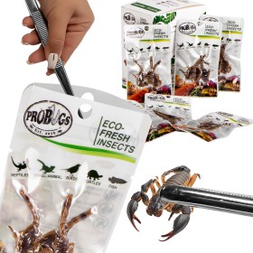 ProBugs Eco-Fresh Skorpiók 3db - friss skorpiók