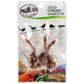 ProBugs Eco-Fresh Skorpiók 3db - friss skorpiók