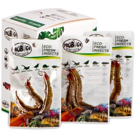 ProBugs Eco-Fresh Scolopendra Centipedă 2buc - scolopendre proaspete