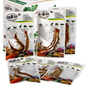 ProBugs Eco-Fresh Scolopendra Centipede 2pcs - fresh centipedes