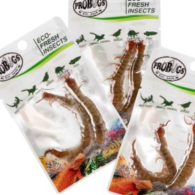 ProBugs Eco-Fresh Scolopendra Stonožka 2ks - čerstvé stonožky