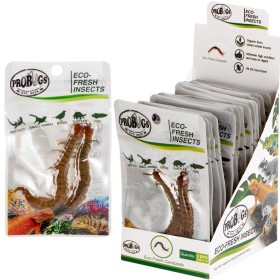 ProBugs Eco-Fresh Scolopendra Centipede 2pz - scolopendre fresche