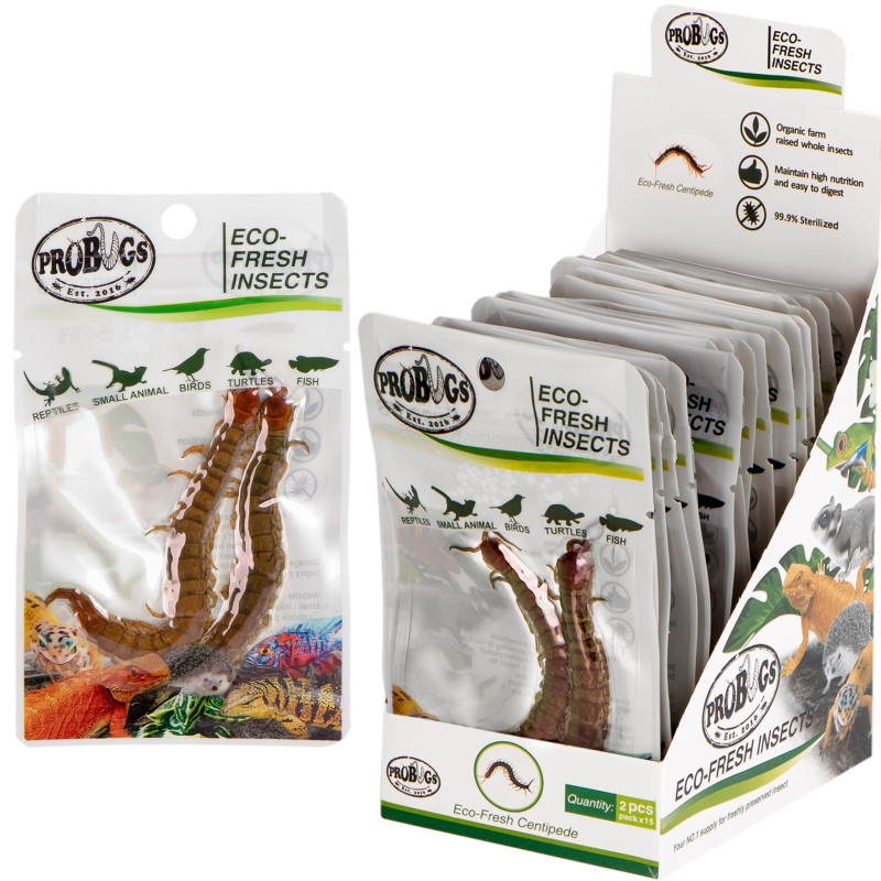 ProBugs Eco-Fresh Scolopendra Centipede 2pz - scolopendre fresche