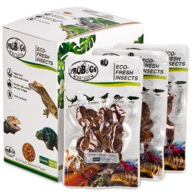 ProBugs Eco-Fresh Šilkverpių 15 x 15g - švieži šilkverpių lervos 15 paketėlių