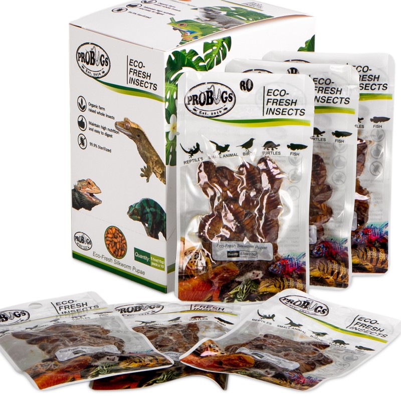 ProBugs Eco-Fresh Silkworm 15g - verse larven