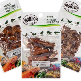 Probugs Reptiles Set - set med insekter för medelstora reptiler