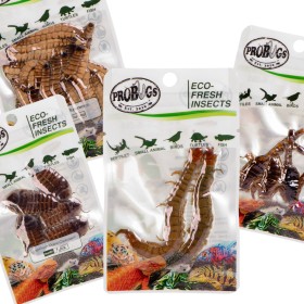 Probugs Big Reptiles Set - conjunto de insectos para grandes reptiles