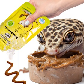 Probugs Crested Gecko Set Plus - complete voeding voor gekko's met gekruiste wormen en gel met vitamines.