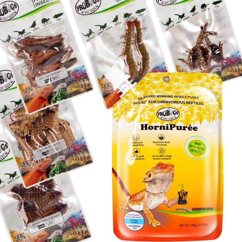 Probugs Bearded Dragon Set Plus - a complete diet for bearded dragons with bugs and vitamin gel.