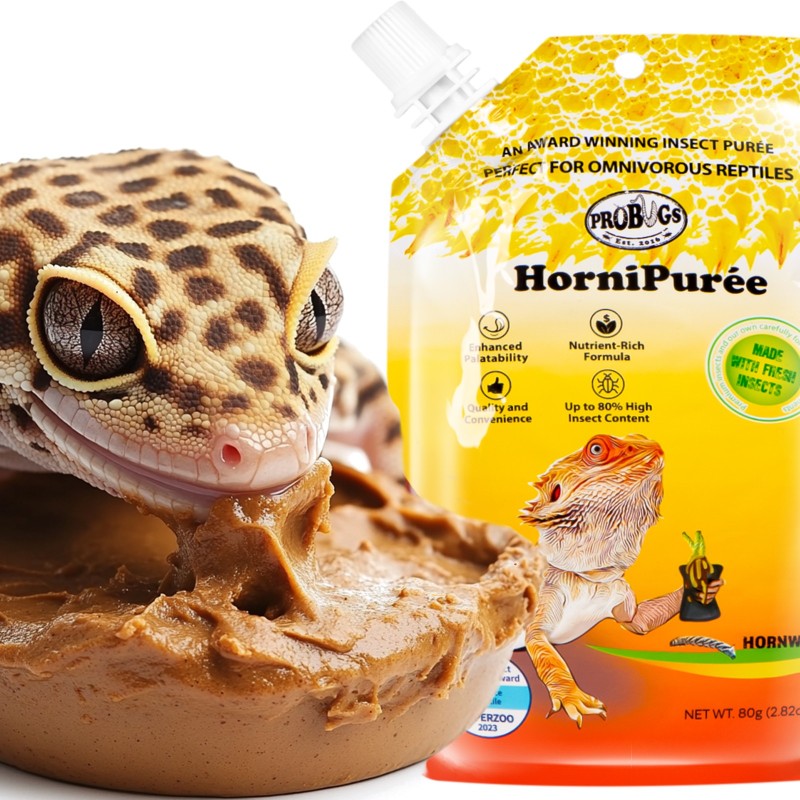 Probugs Bearded Dragon Set Plus - täiendav dieet karvasele draakonile, ussid ja vitamiinidega geel.