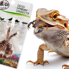 Probugs Bearded Dragon Set Plus - komplett diet för skäggagam med insekter och gel med vitaminer.