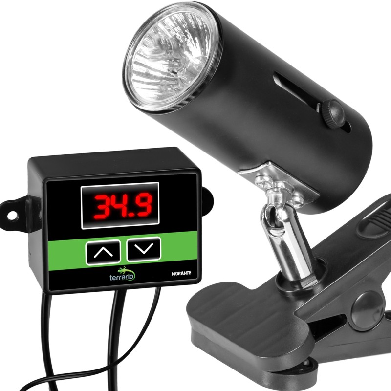 Terrario ReptiSun Temperaturkontrolle - Lampe mit Thermostat