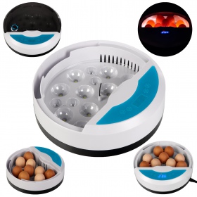 LED Incubator HFM Thermo 9 for 9 eggs with a thermostat