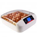 copy of HFM Brüterei Thermo 56 Auto - incubator with thermostat for 56 eggs